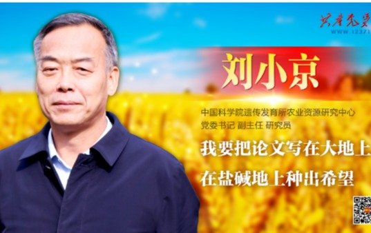德甲买球官网