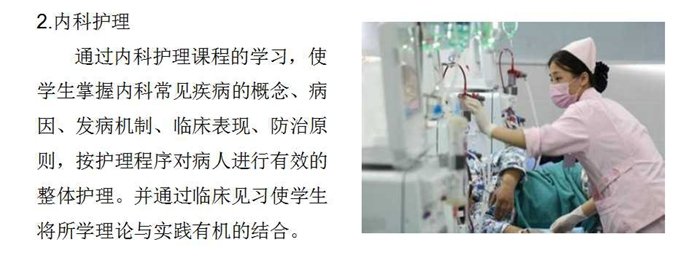 德国足球甲级联赛中文官网官方登录