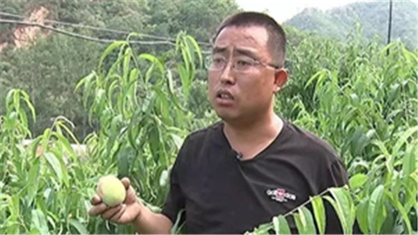深耕地方特色产业 经济管理德甲官网栏