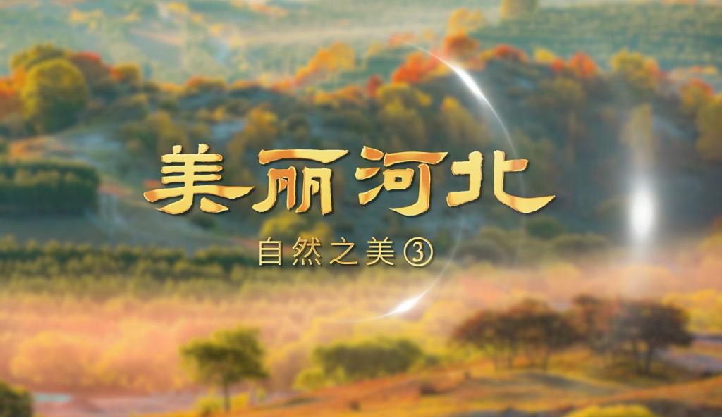美丽河北 | 自然之美3