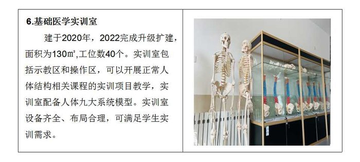 德甲买球官网