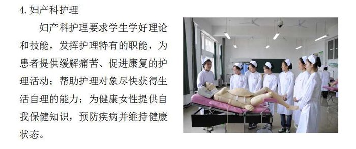 德国足球甲级联赛中文官网官方登录