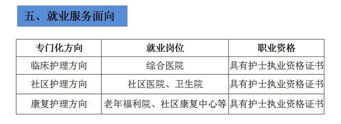 德甲买球官网