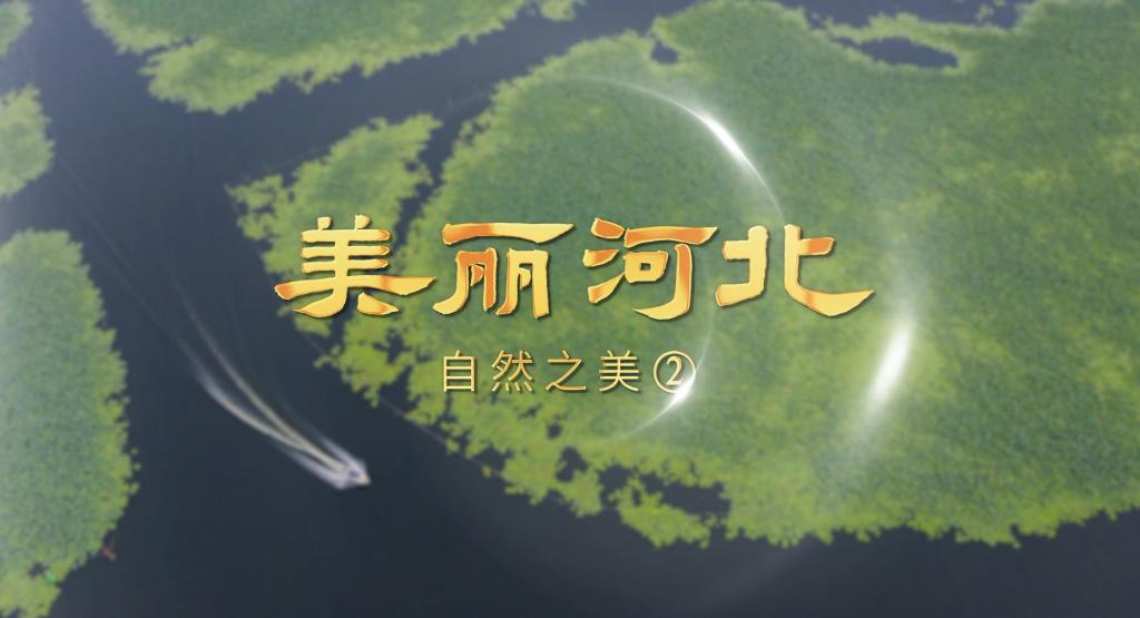 美丽河北 | 自然之美2