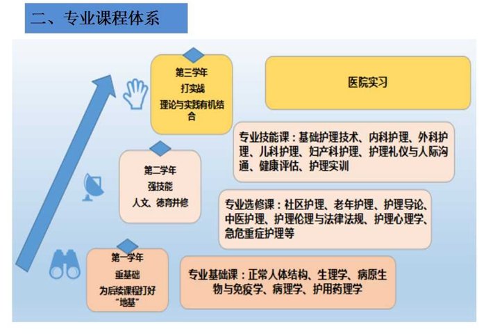 德国足球甲级联赛中文官网官方登录