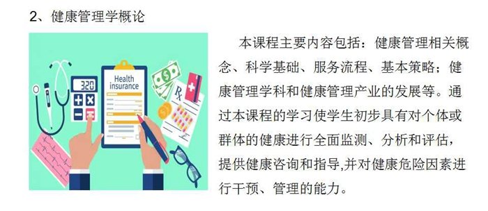 德国足球甲级联赛中文官网出任多特蒙德