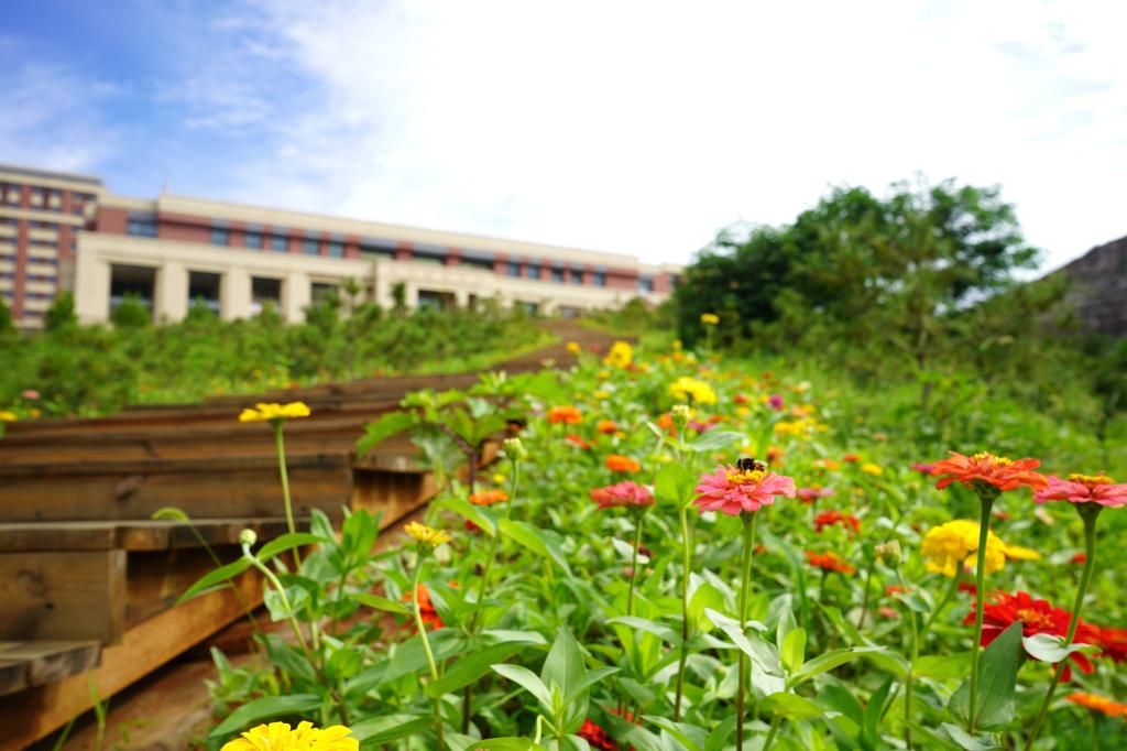 德甲官网最新版下载级物流实训室