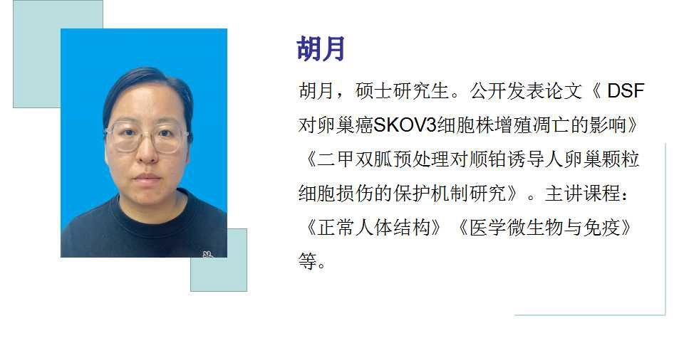 0311-82280596(卧龙院办
