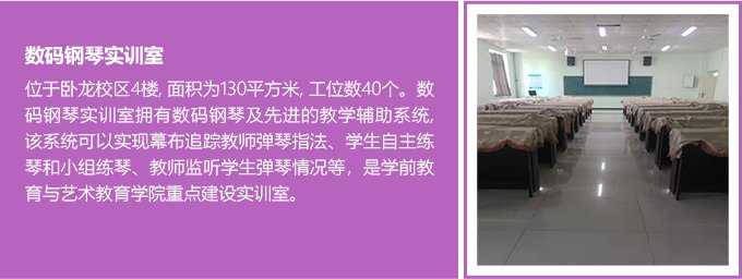 德甲买球官网正规渠道