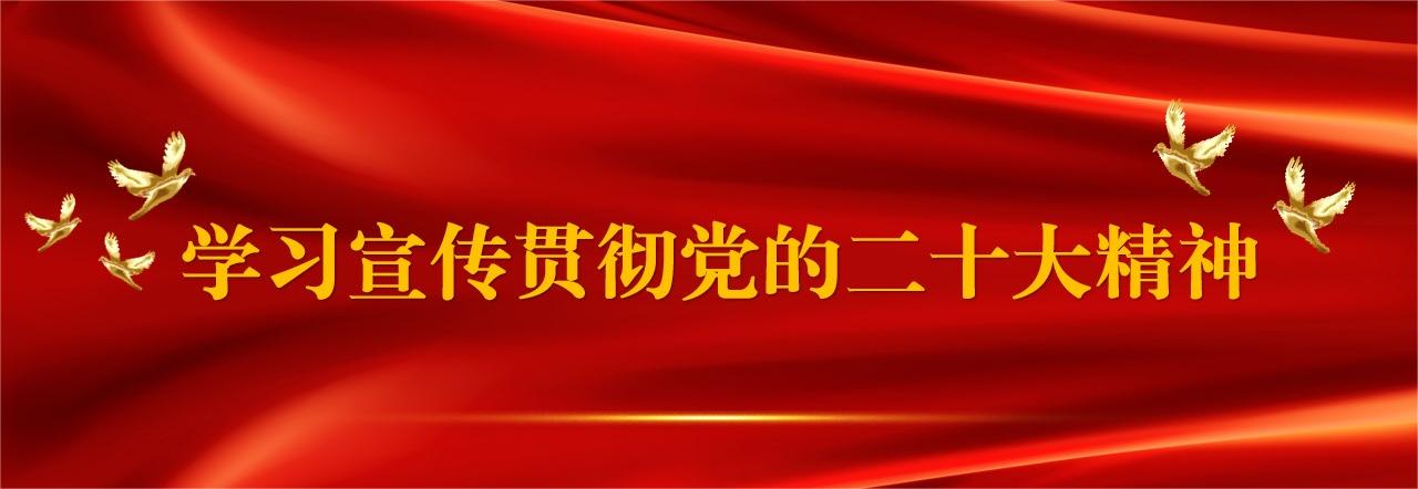 党支部的成立